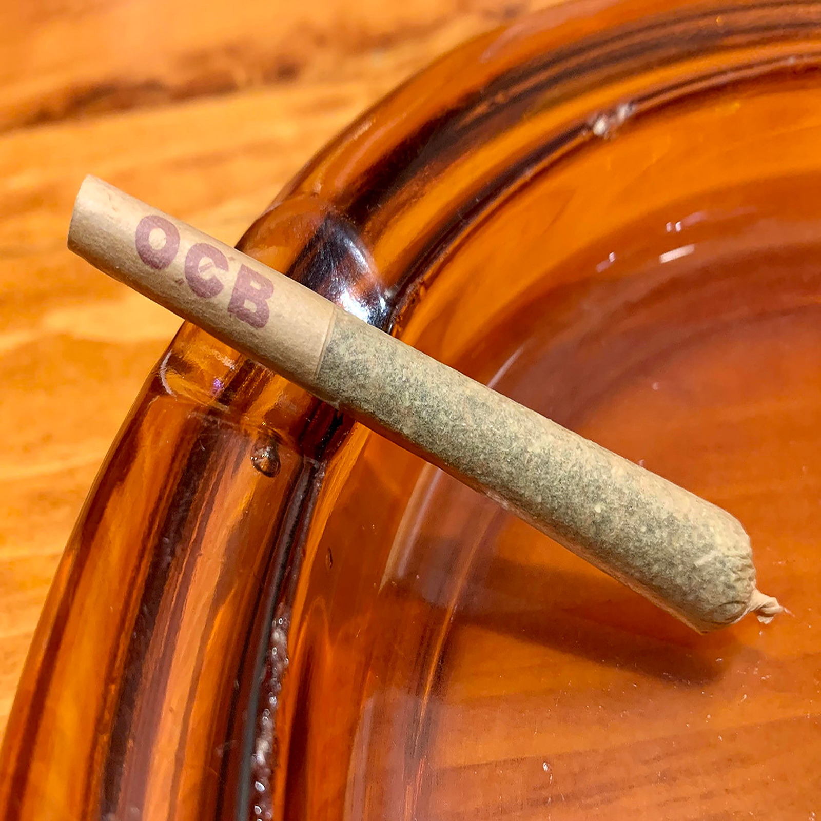 Slurricane - Preroll